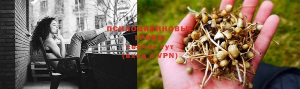 прущий лед Кущёвская