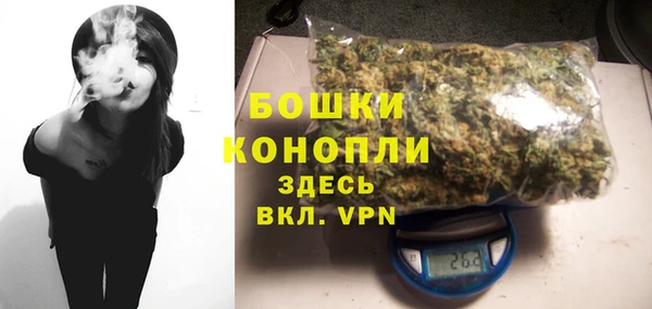 шишки Нестеровская
