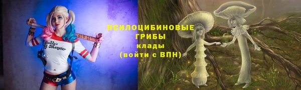 ешки Александровское