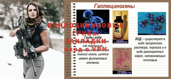 2c-b Иноземцево