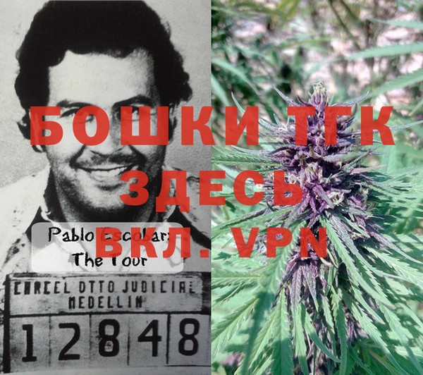 ECSTASY Калининец