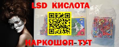 спайс Берёзовский