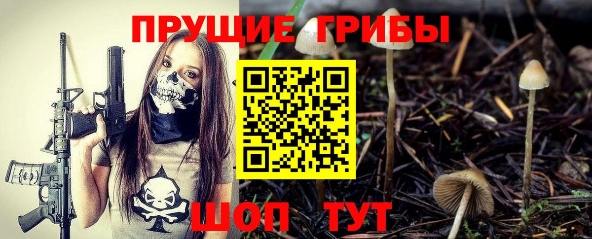 Галлюциногенные грибы Cubensis Богородицк