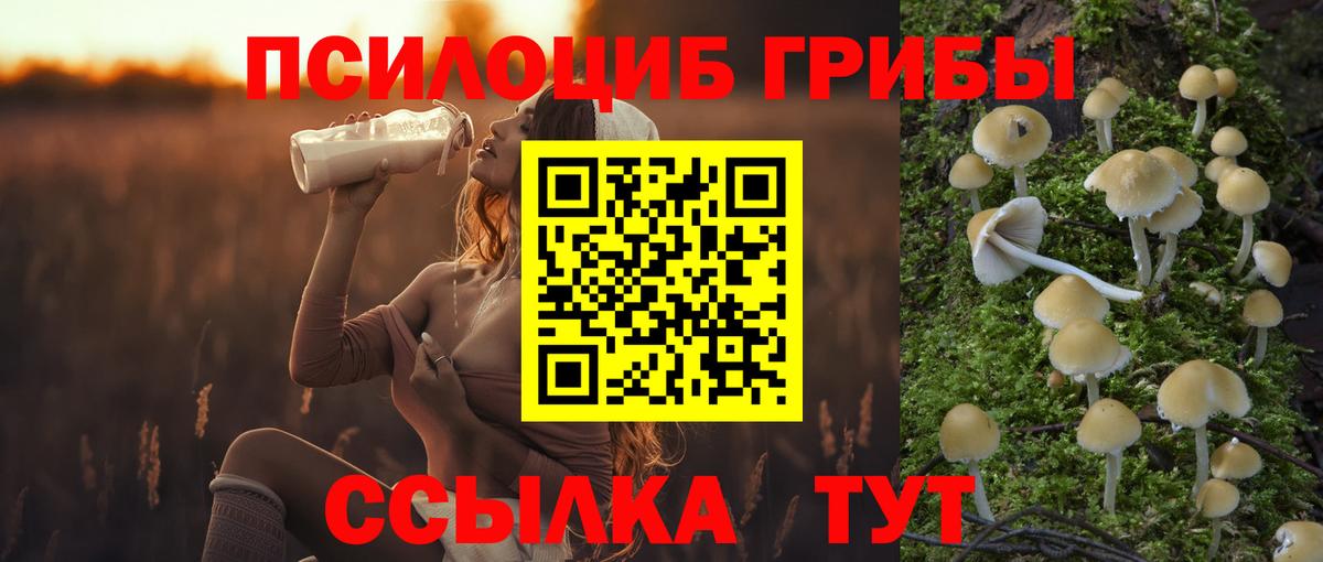 Галлюциногенные грибы MAGIC MUSHROOMS  Богородицк  Галлюциногенные грибы прущие грибы 